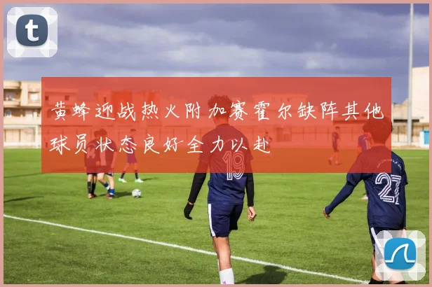 黄蜂迎战热火附加赛霍尔缺阵其他球员状态良好全力以赴